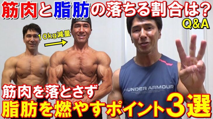 減量した時の筋肉と脂肪の落ちる割合は？筋肉を落とさず脂肪を燃やす3つのポイント【Q&A】