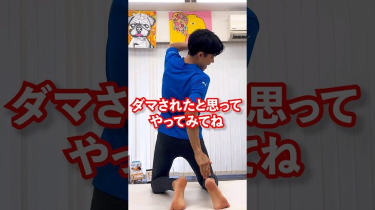 【100回で確実】くびれすぎる膝立ちトレーニング #お腹痩せ #ダイエット #Shorts