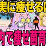 【ダイエット】健康的に確実に痩せるには、腸内清掃・痩せ菌摂取・痩せ菌を育てるそして痩せ菌をキープすること！痩せ菌の育て方徹底解説【ゆっくり解説】