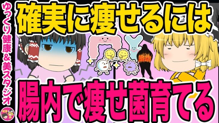 【ダイエット】健康的に確実に痩せるには、腸内清掃・痩せ菌摂取・痩せ菌を育てるそして痩せ菌をキープすること！痩せ菌の育て方徹底解説【ゆっくり解説】