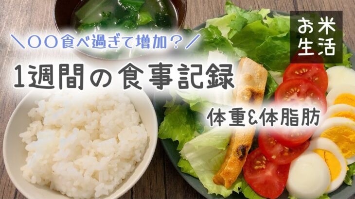 お米食べて食事を楽しみながら維持を目指す。１週間の食事記録【お米生活/お米ダイエット/一汁一菜】