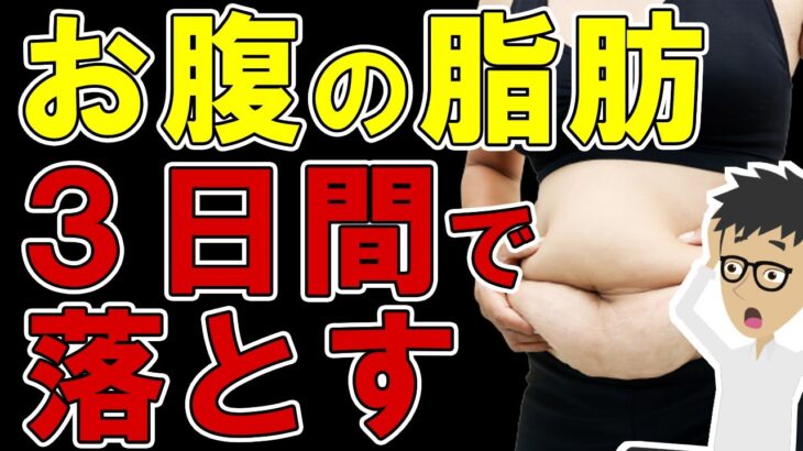 お腹の脂肪を最速で落とす方法3選！下っ腹や体脂肪率を減らす【腹筋を割る方法｜痩せる｜効果｜割れる｜ダイエット】