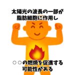 筋トレしながらダイエットできるHIITの雑学