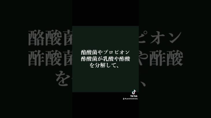 確実に痩せる腸内環境良くする方法#ダイエット #痩せる方法 #腸活