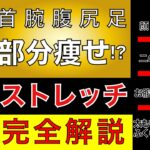 【痩せるストレッチ】“部分痩せ”首/腕/腹/尻/足ストレッチ完全版“６選”