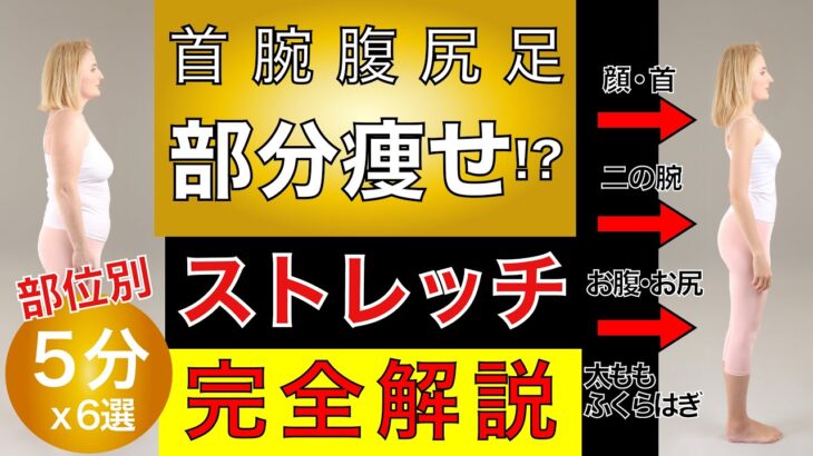 【痩せるストレッチ】“部分痩せ”首/腕/腹/尻/足ストレッチ完全版“６選”