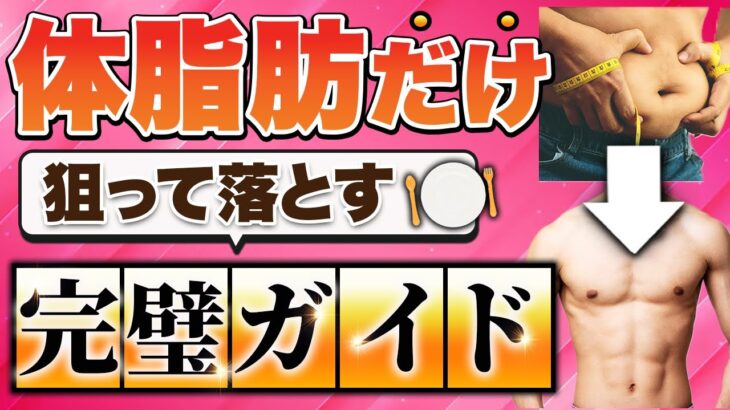 【ダイエット】体脂肪だけを狙って落とす方法を徹底解説、特別なトレーナーになるための第一歩