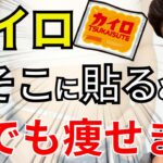 【ダイエット】カイロを貼るだけで基礎代謝が12％も向上して体脂肪が激減します！【脂肪燃焼 腸内環境 脚痩せ効果】