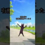 部分痩せできるかもしれない説 #部分痩せ #ダイエット方法 #猫ミーム #猫マニ