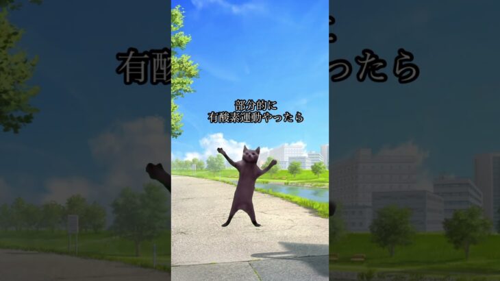 部分痩せできるかもしれない説 #部分痩せ #ダイエット方法 #猫ミーム #猫マニ