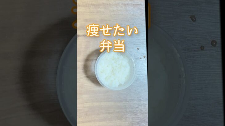 痩せたいダイエット中に食べるお弁当／簡単節約おかずピーマン茹で鶏むね肉ブロッコリーキャベツ／弁当箱はタッパー