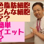 褐色脂肪細胞を動かして超簡単ダイエット！？