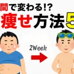 【雑学】2週間で変わる激痩せ方法5選！短期間ダイエットの雑学 #役立つ雑学