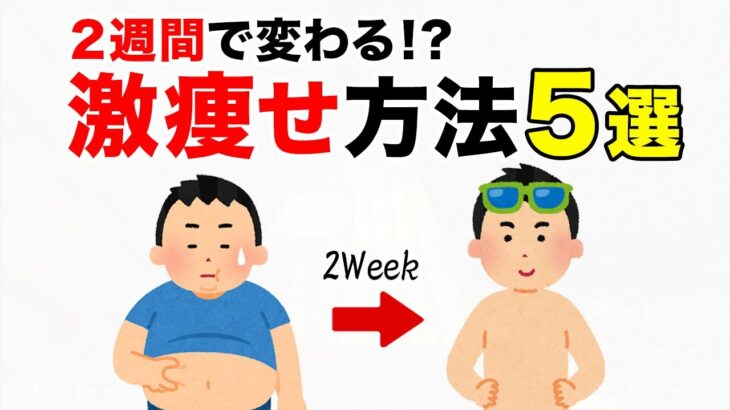 【雑学】2週間で変わる激痩せ方法5選！短期間ダイエットの雑学 #役立つ雑学