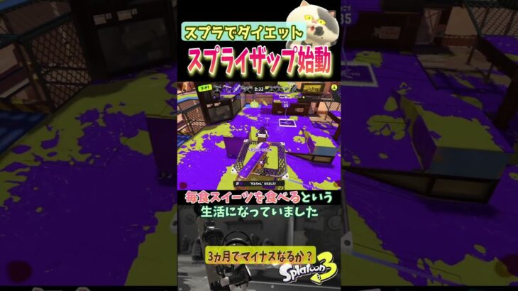 スプラトゥーンで遊びながら、がちのダイエット！？【スプラトゥーン３】